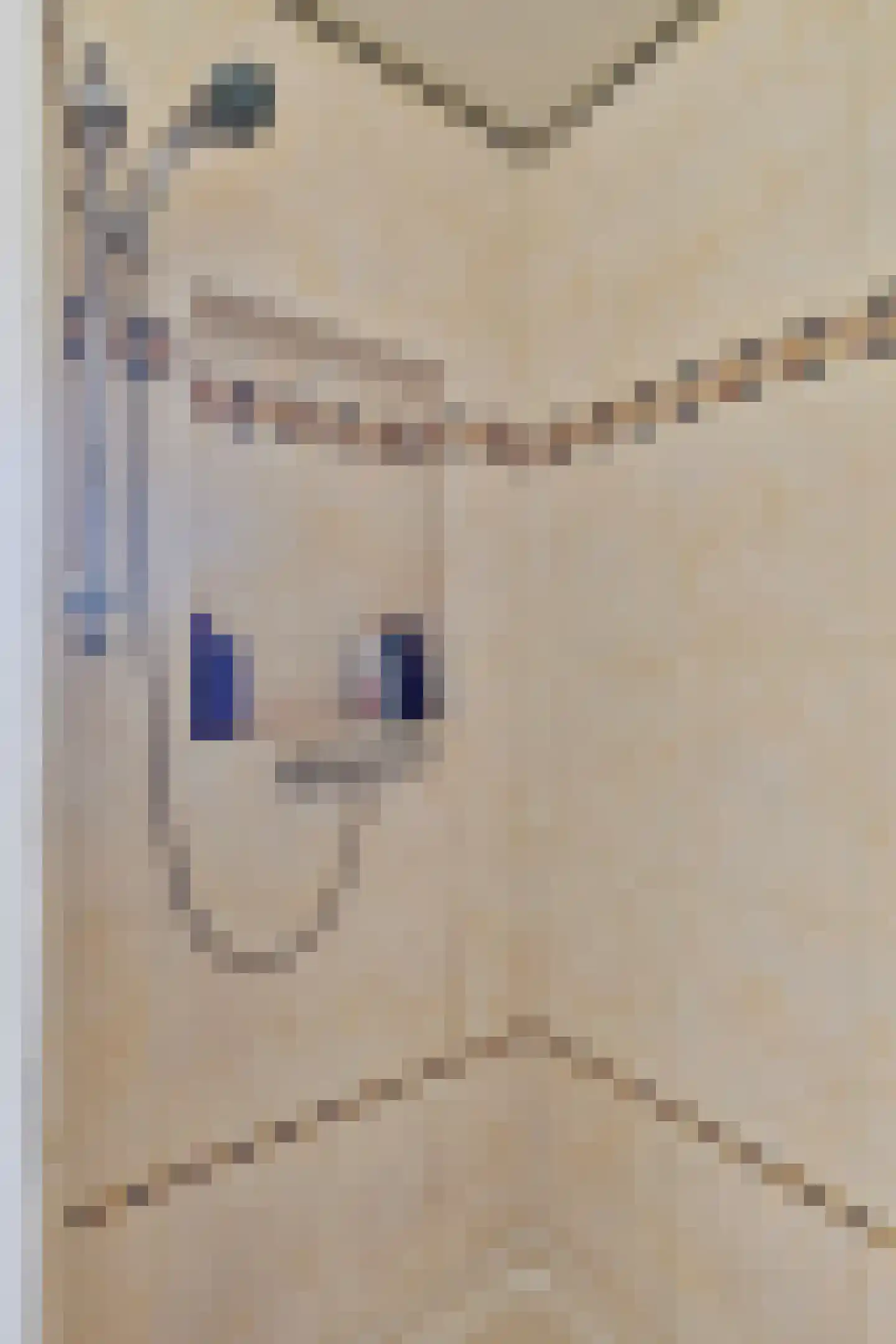 Dorpsstraat 191 Heinkenszand thumbnail 26