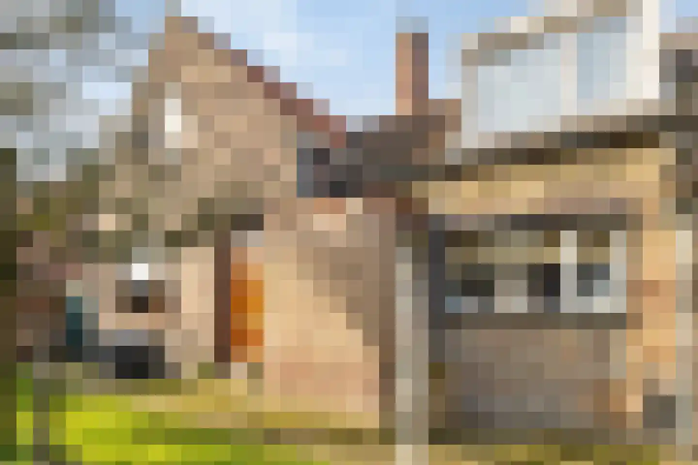 Dorpsstraat 191 Heinkenszand thumbnail 37