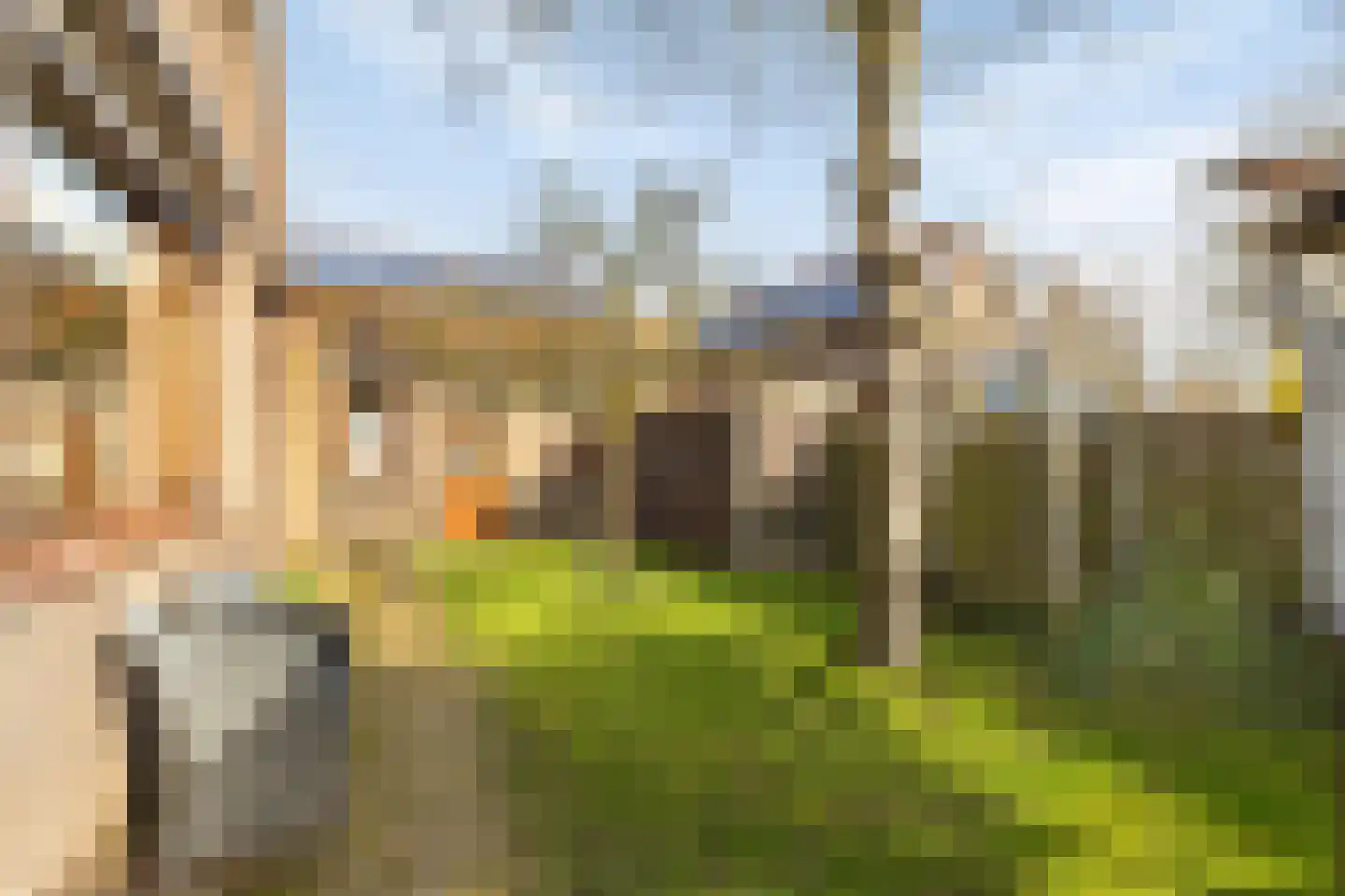 Dorpsstraat 191 Heinkenszand thumbnail 39