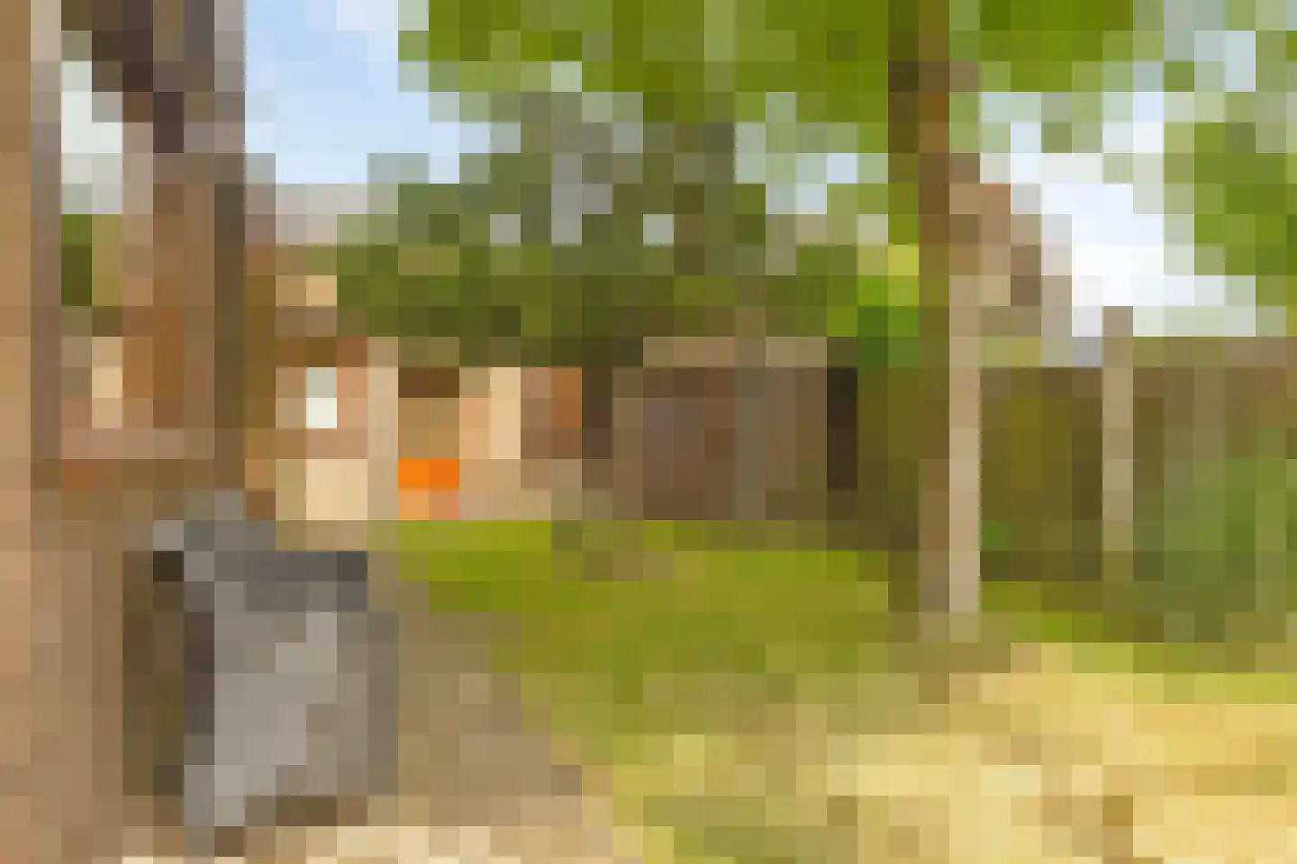 Dorpsstraat 191 Heinkenszand thumbnail 39