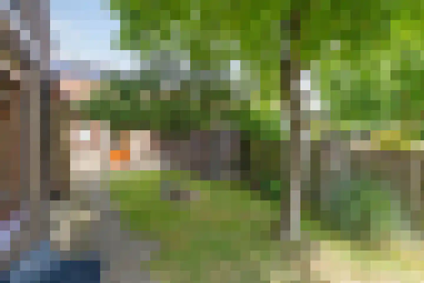 Dorpsstraat 191 Heinkenszand thumbnail 44