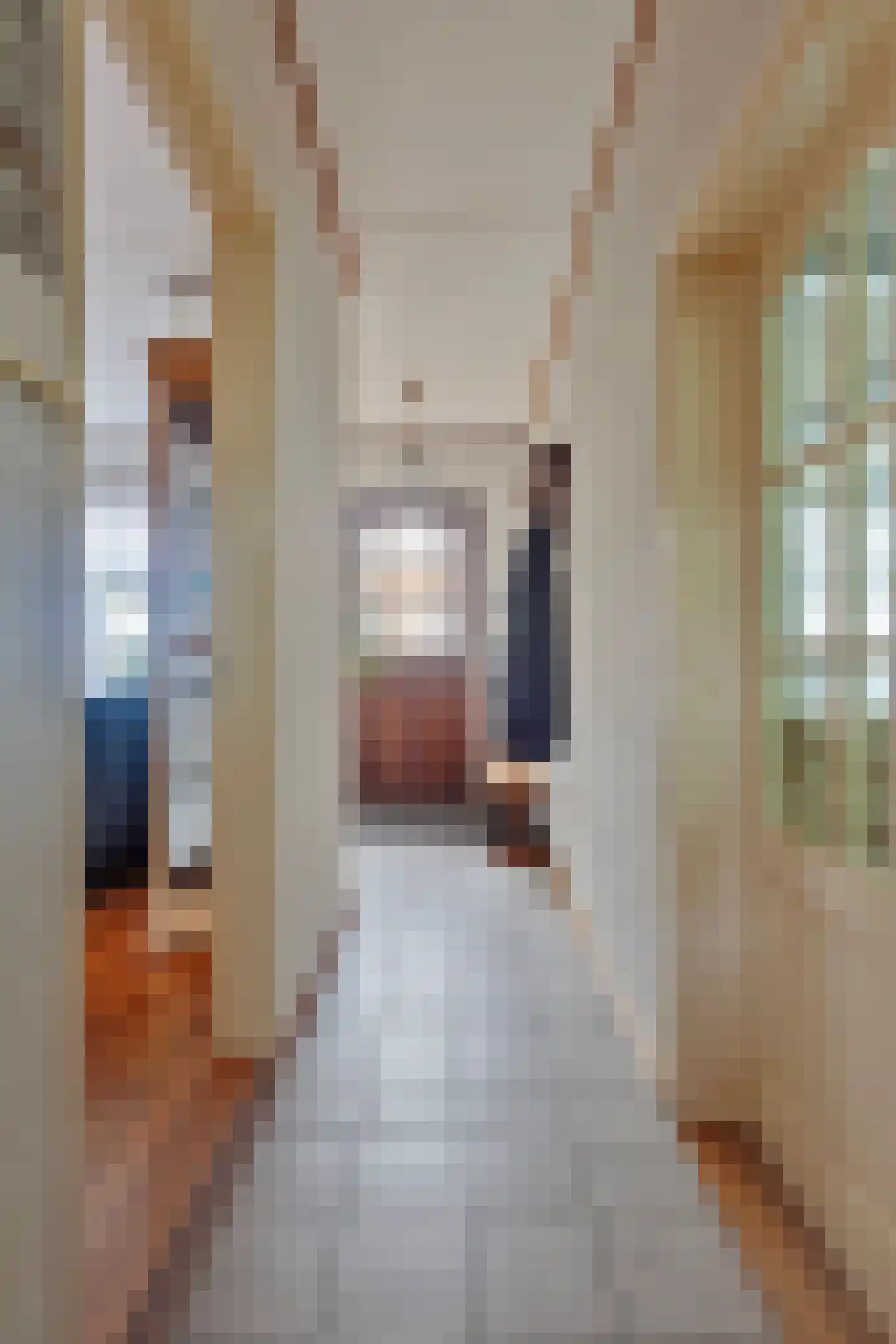 Dorpsstraat 191 Heinkenszand thumbnail 5