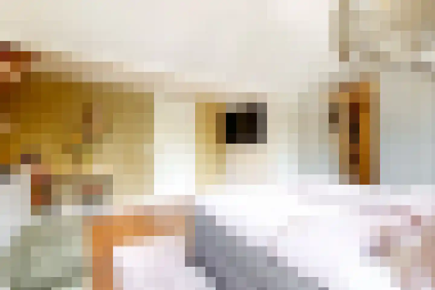 Dorpsstraat 192 Zwaag thumbnail 33