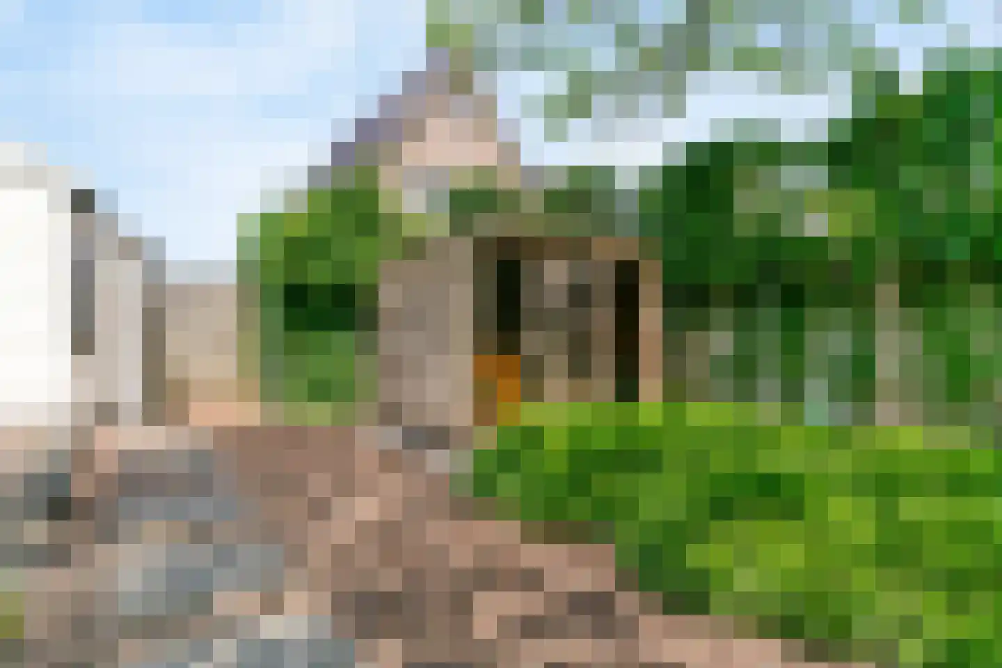 Dorpsstraat 192 Zwaag thumbnail 53