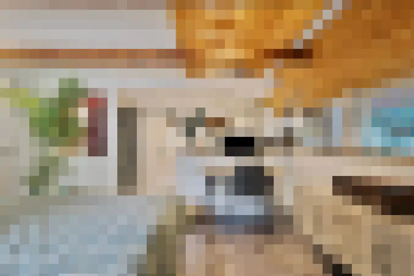 Dorpsstraat 198 Warmenhuizen thumbnail 15
