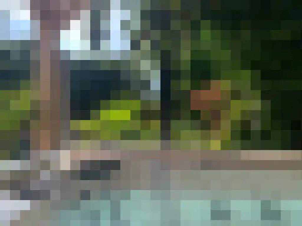 Dorpsstraat 198 Warmenhuizen thumbnail 21