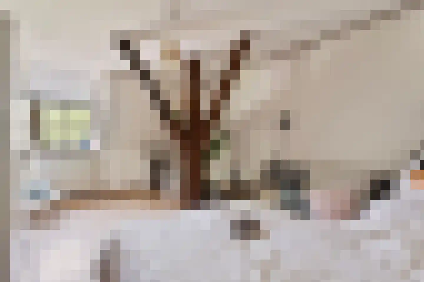 Dorpsstraat 198 Warmenhuizen thumbnail 22
