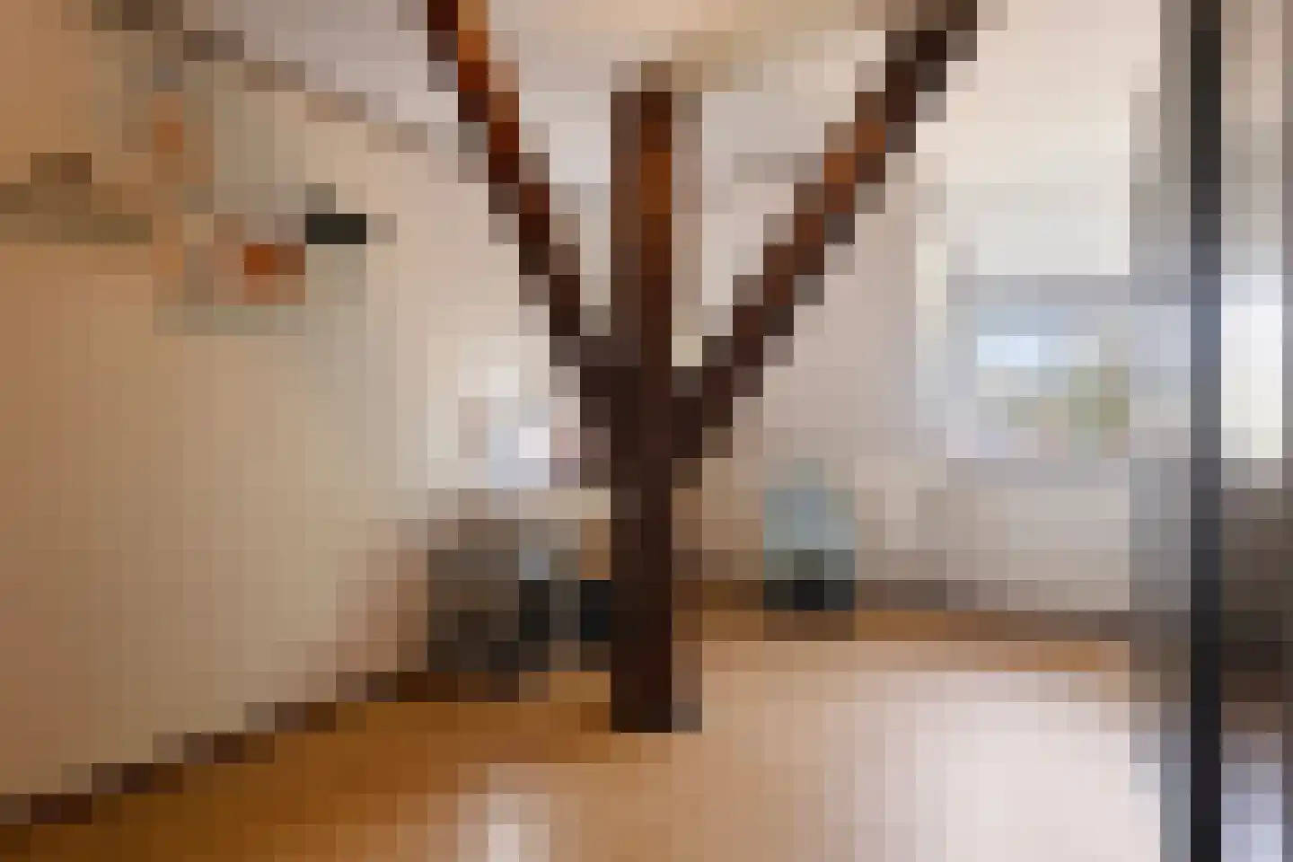 Dorpsstraat 198 Warmenhuizen thumbnail 23