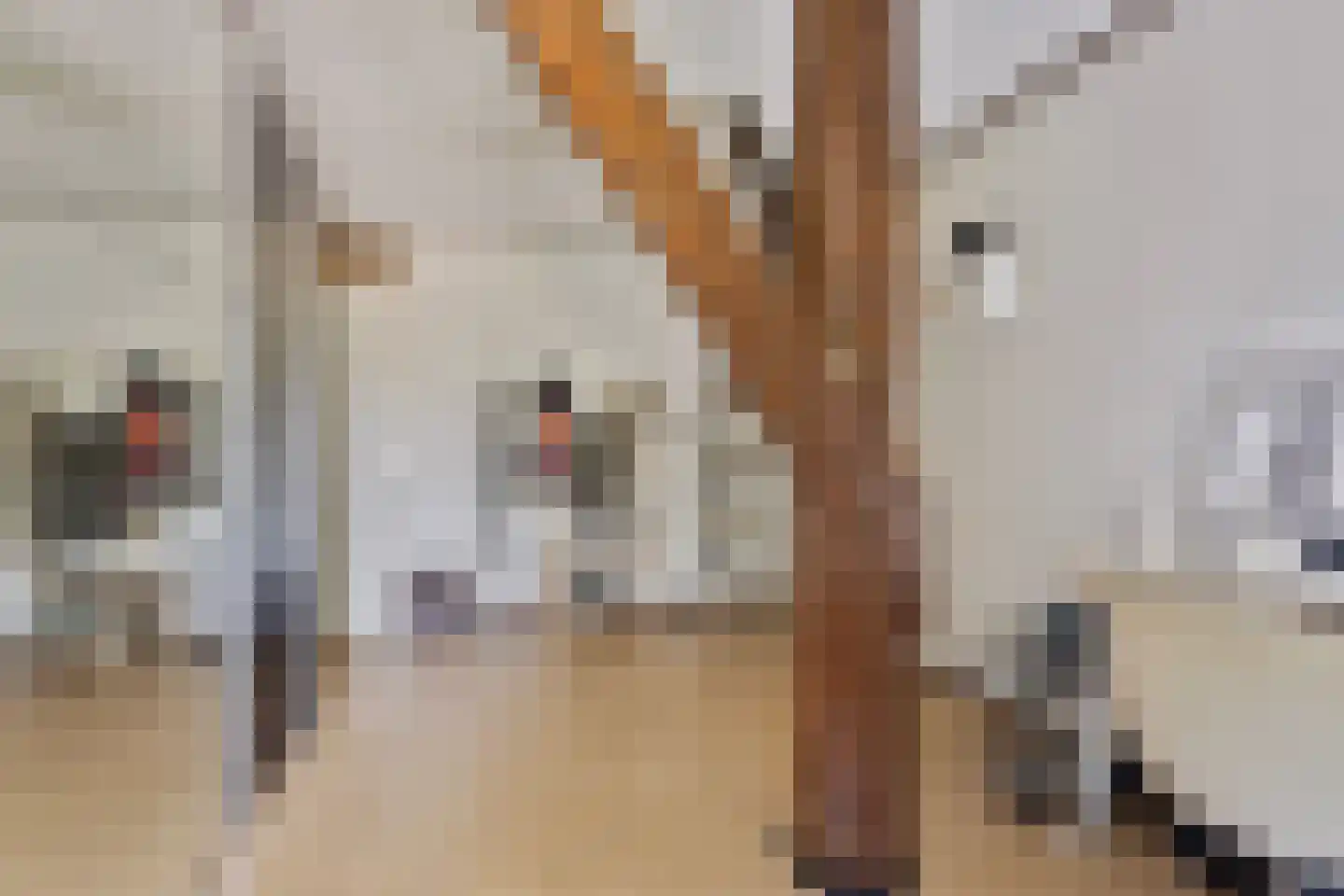 Dorpsstraat 198 Warmenhuizen thumbnail 24