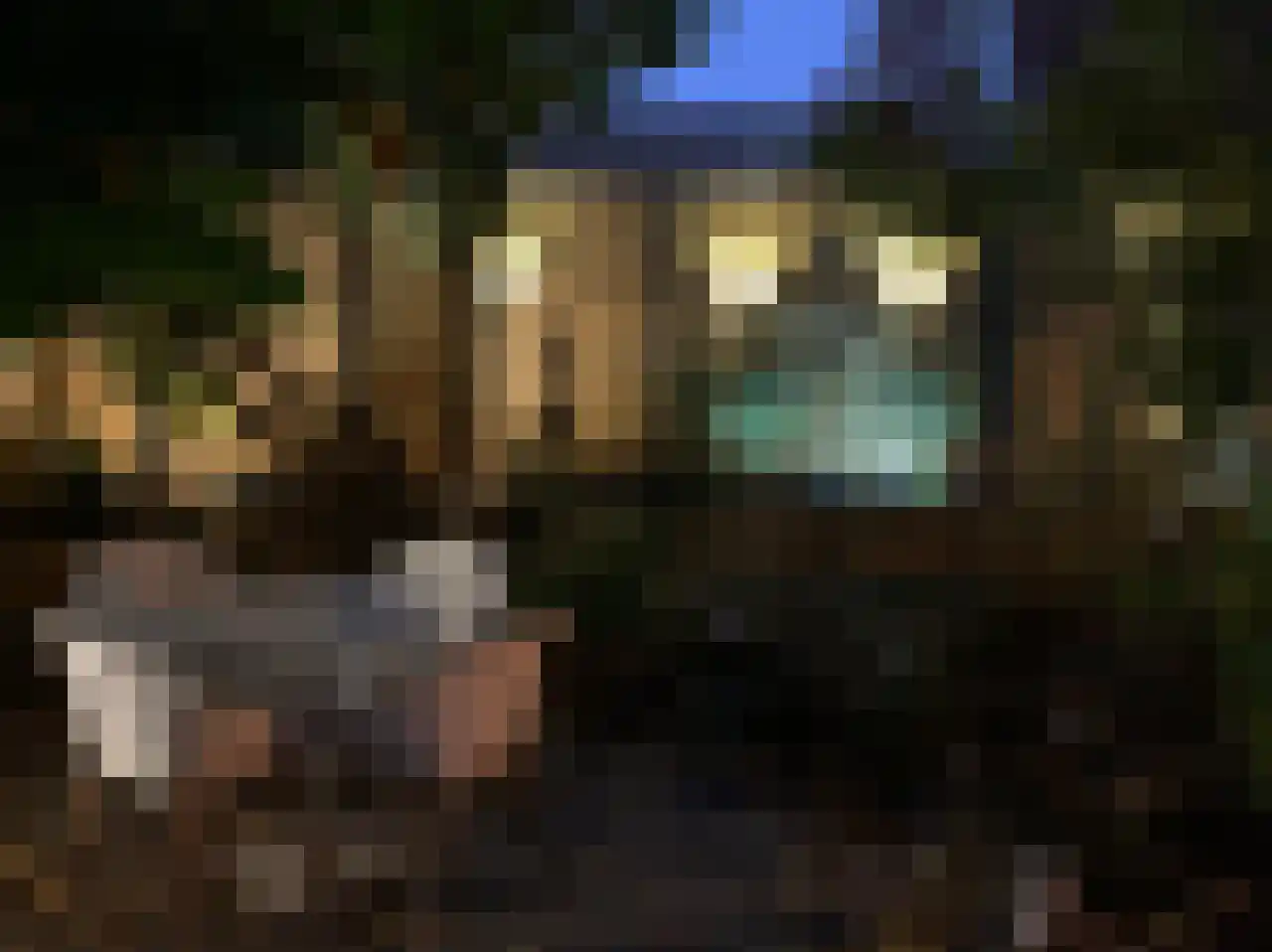 Dorpsstraat 198 Warmenhuizen thumbnail 34