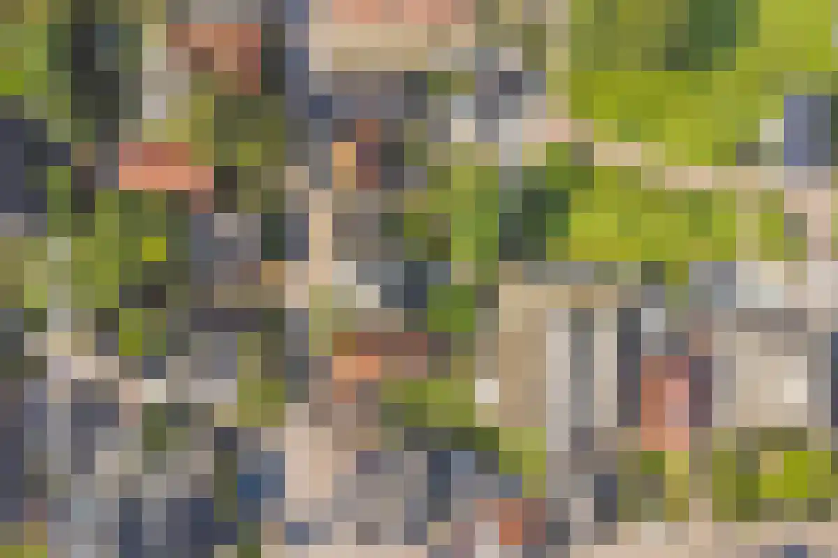 Dorpsstraat 198 Warmenhuizen thumbnail 38