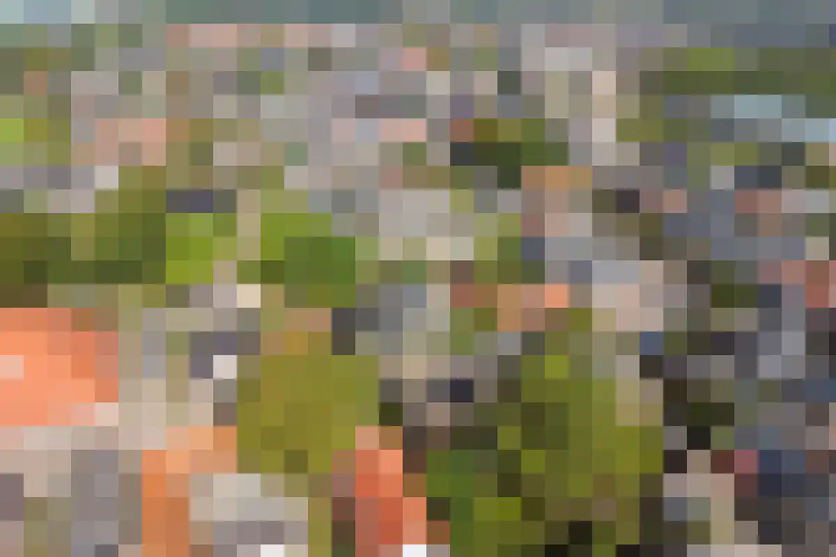 Dorpsstraat 198 Warmenhuizen thumbnail 5