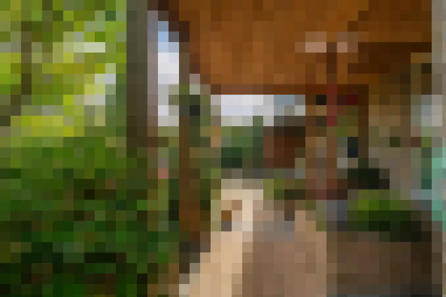Dorpsstraat 199 Heerjansdam thumbnail 38