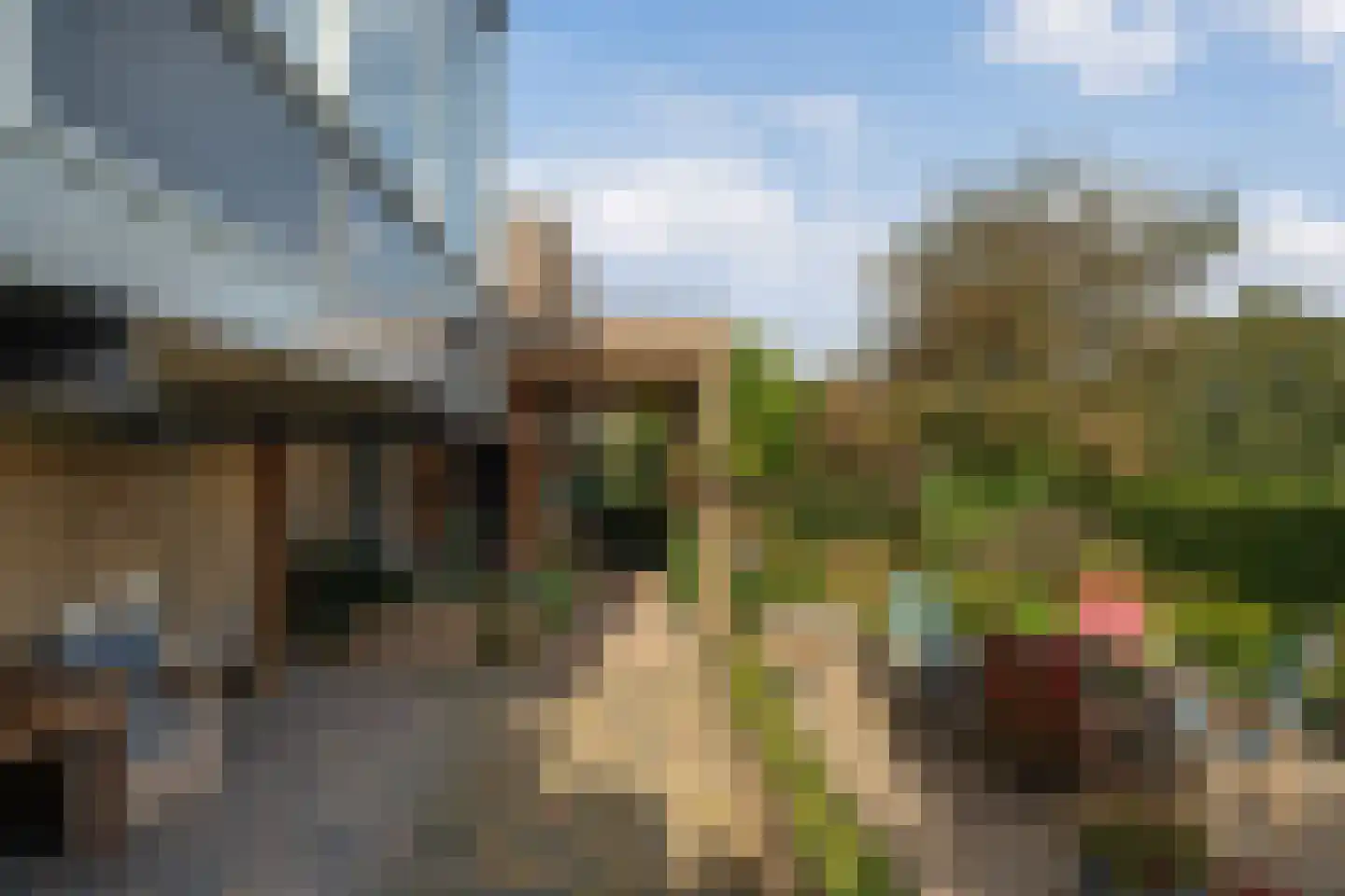 Dorpsstraat 199 Heerjansdam thumbnail 42