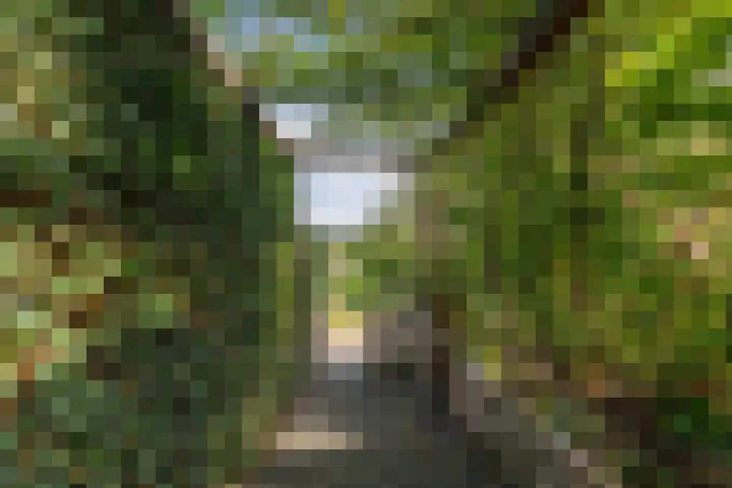 Dorpsstraat 199 Heerjansdam thumbnail 43