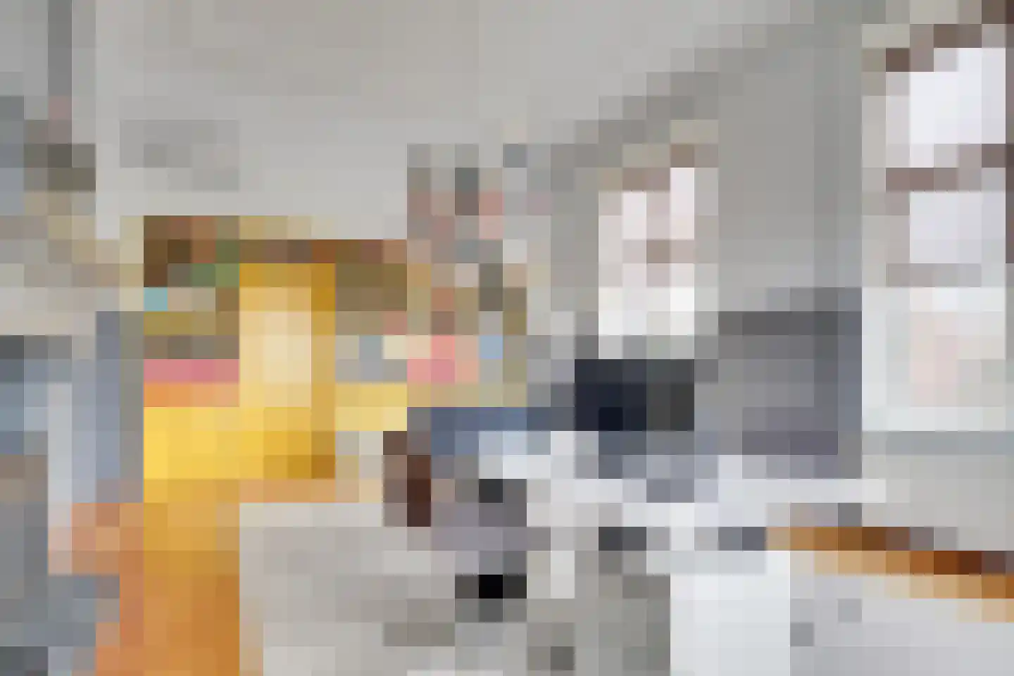 Dorpsstraat 2 Bunnik thumbnail 34