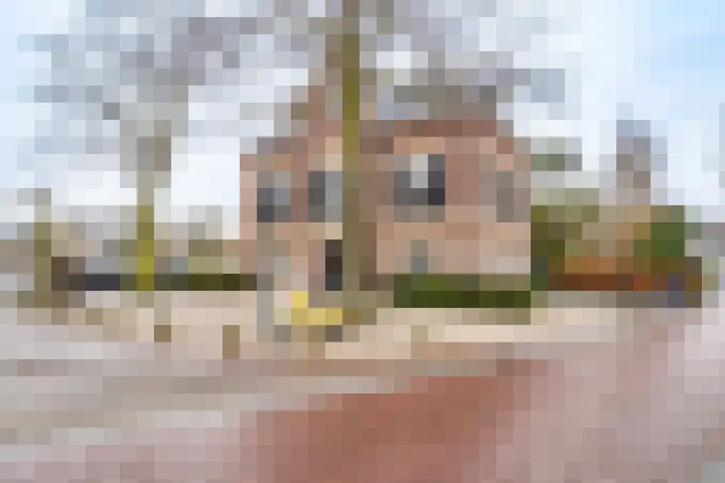 Dorpsstraat 2 Bunnik thumbnail 60