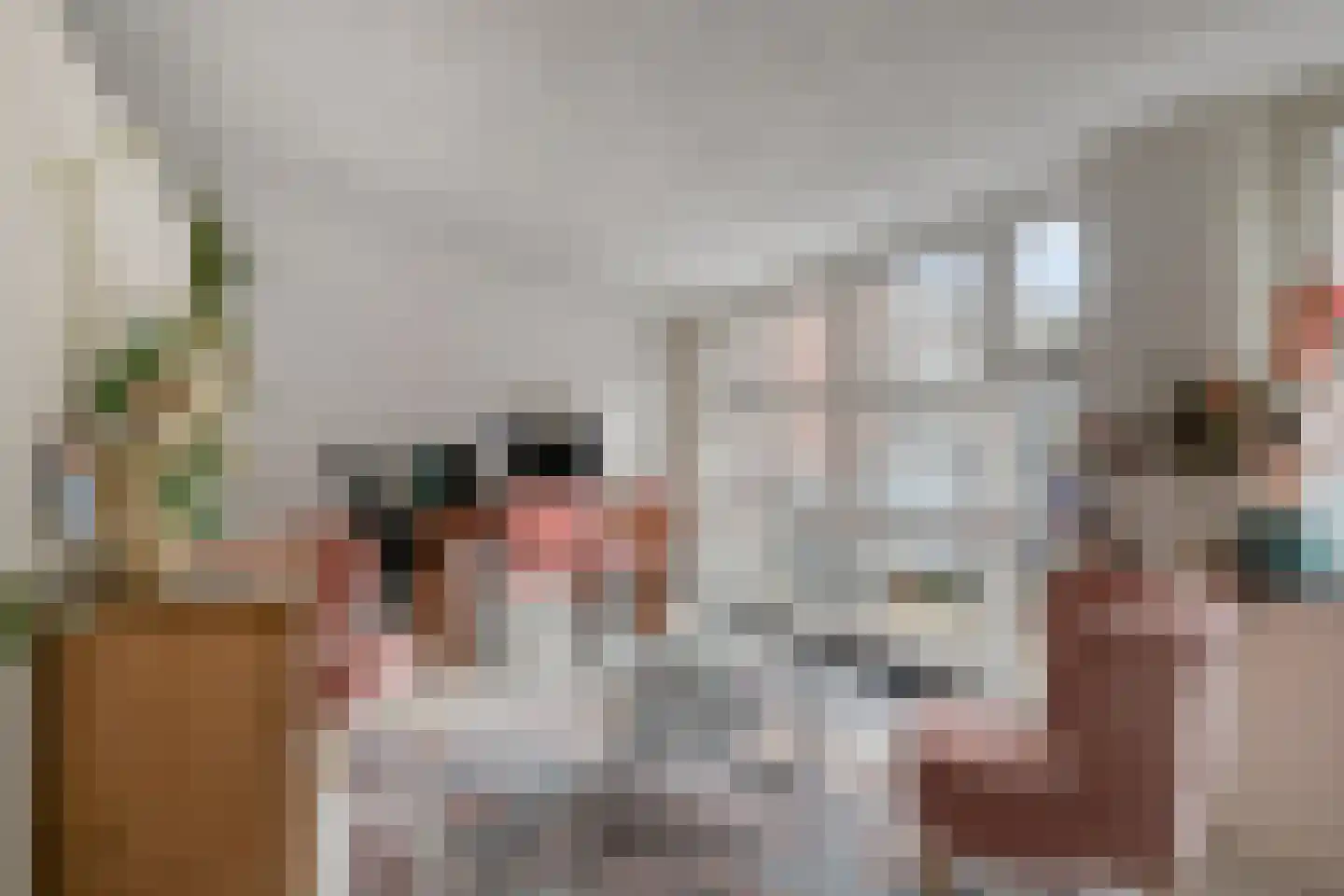 Dorpsstraat 2 Casteren thumbnail 20