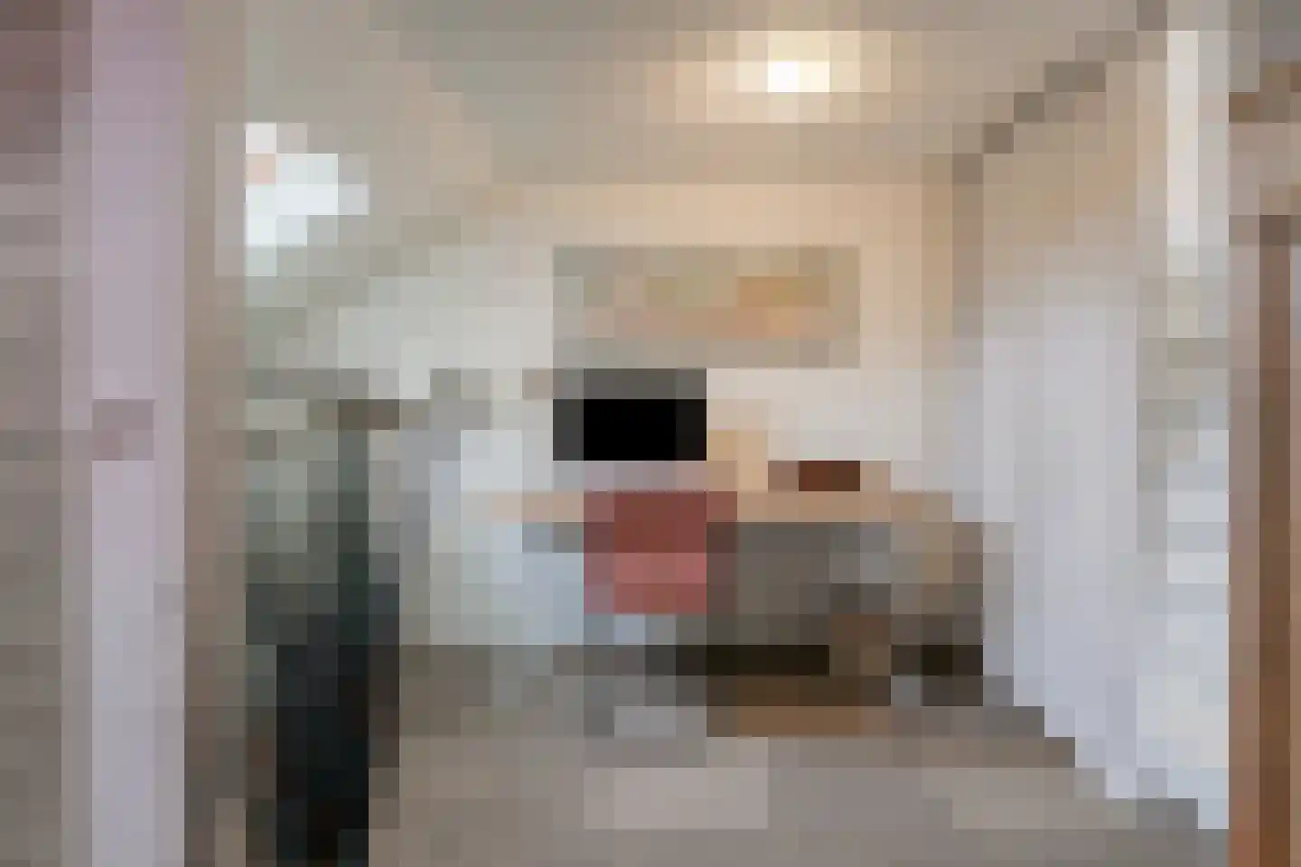 Dorpsstraat 2 Casteren thumbnail 34