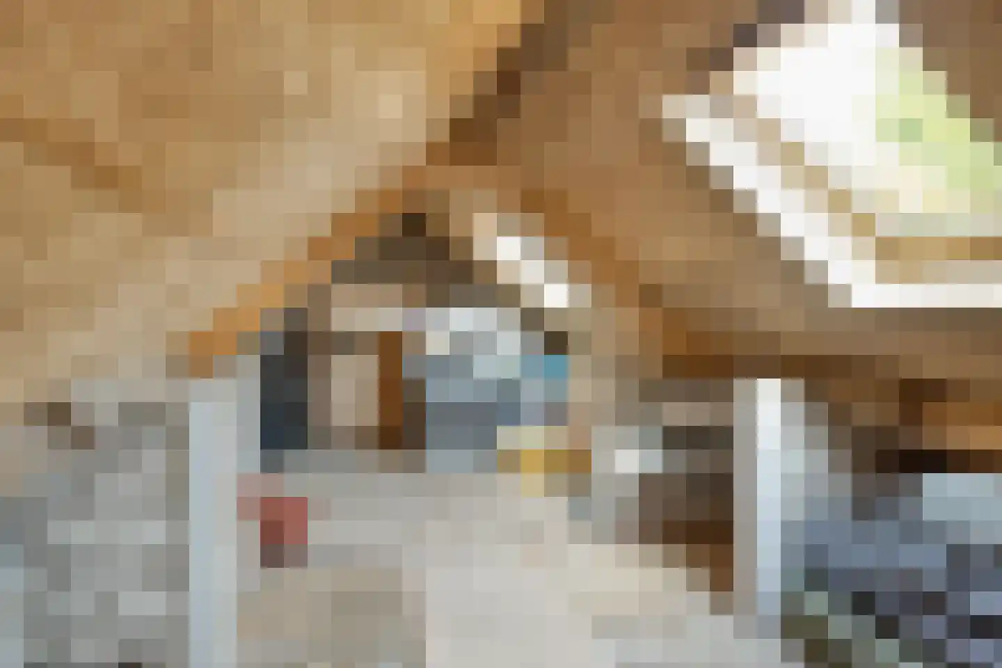 Dorpsstraat 2 Casteren thumbnail 36