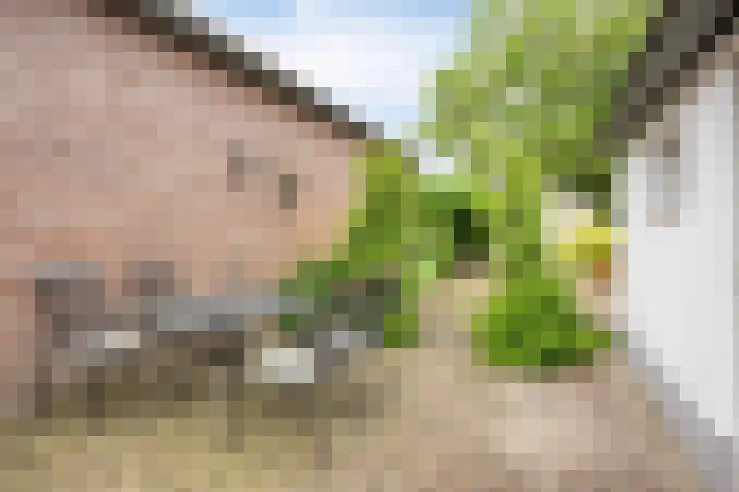 Dorpsstraat 2 Casteren thumbnail 50