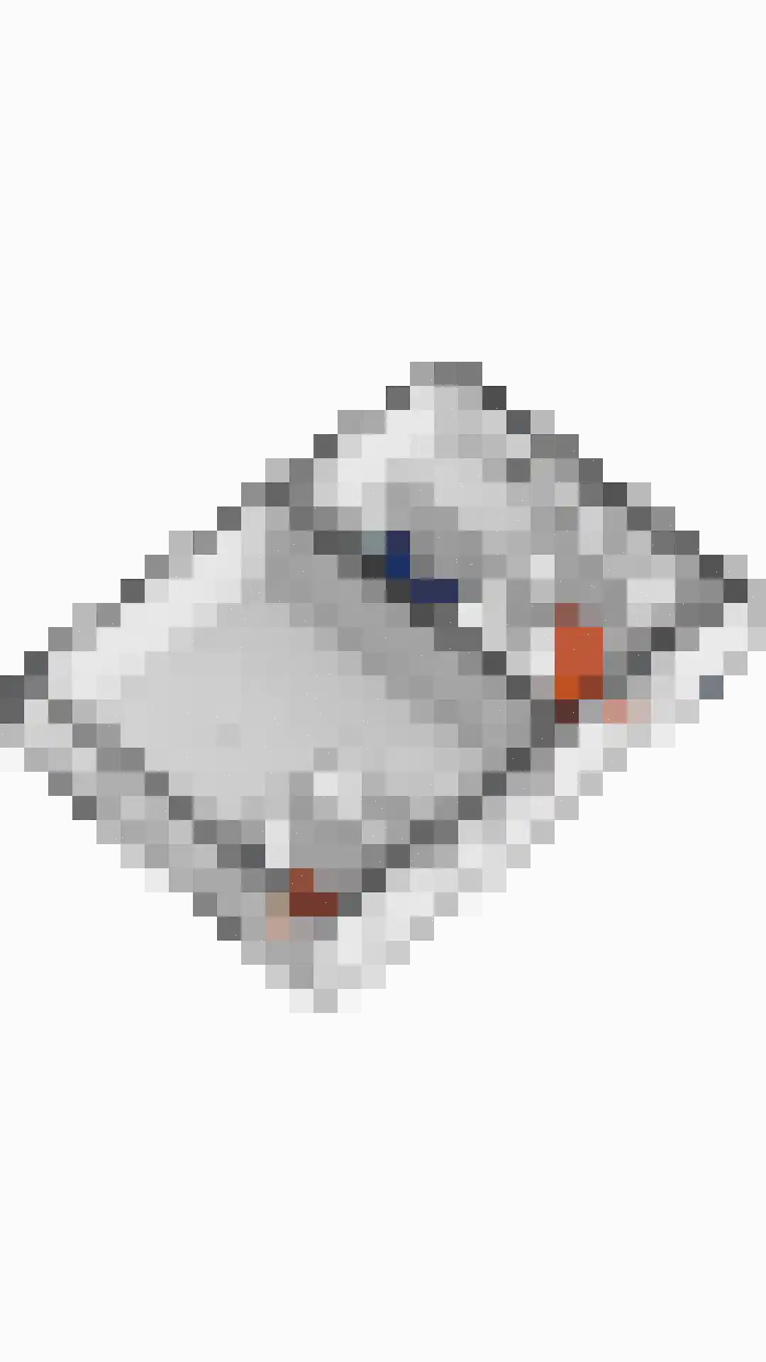 Dorpsstraat 2 Casteren thumbnail 60