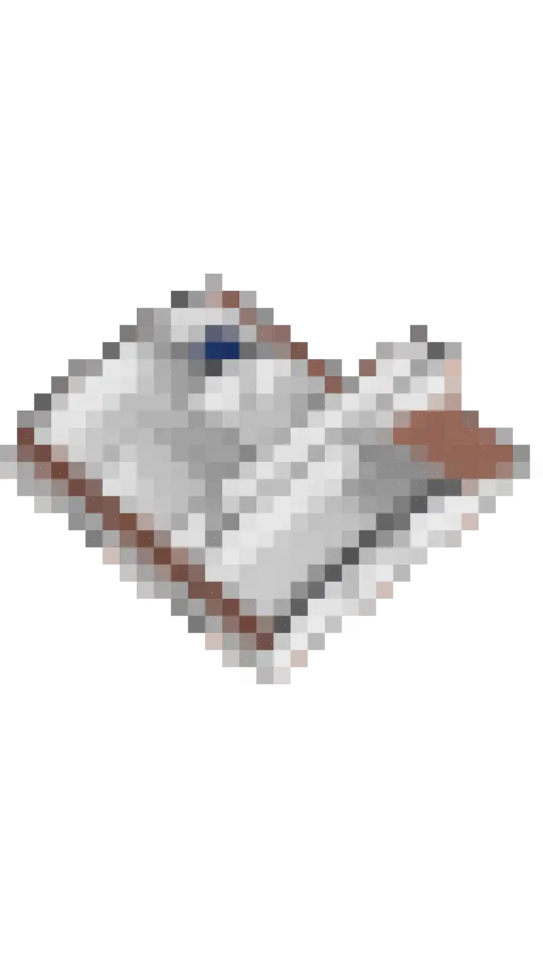 Dorpsstraat 2 Casteren thumbnail 61