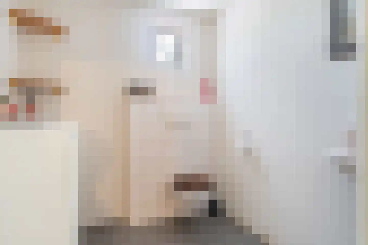 Dorpsstraat 2 Hijken thumbnail 20
