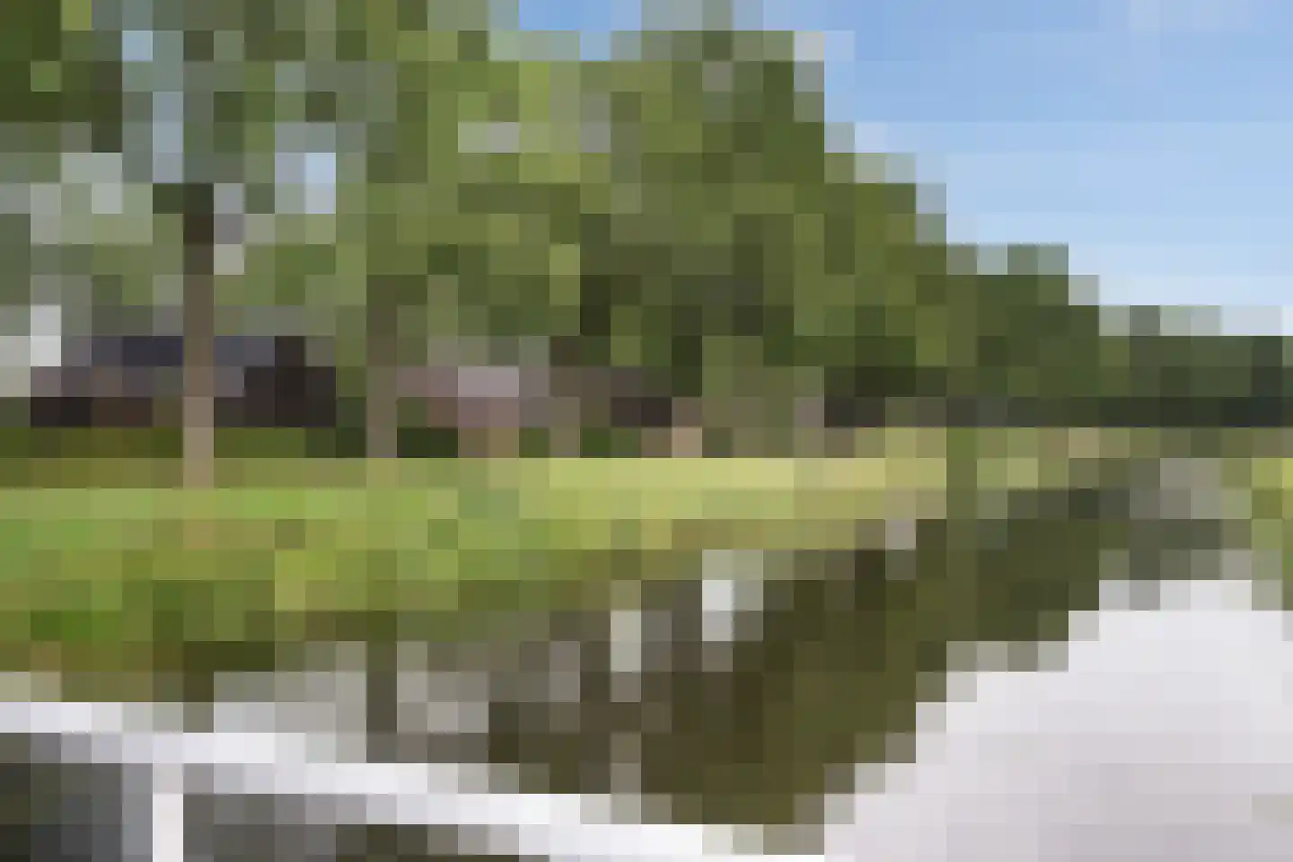 Dorpsstraat 2 Hijken thumbnail 4
