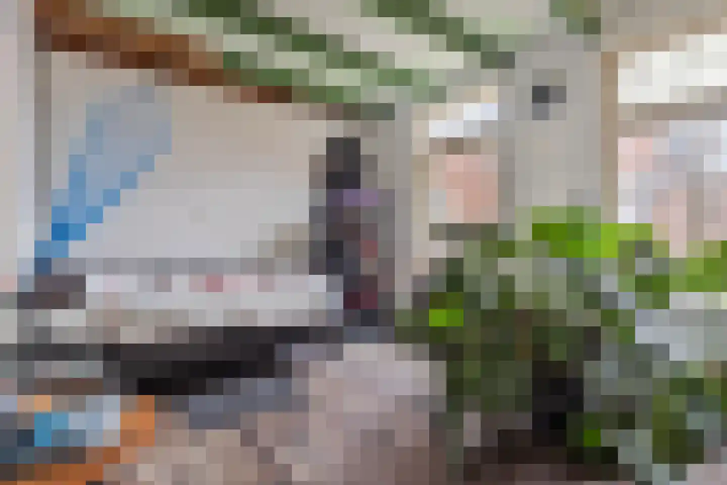 Dorpsstraat 2 Hoofdplaat thumbnail 11