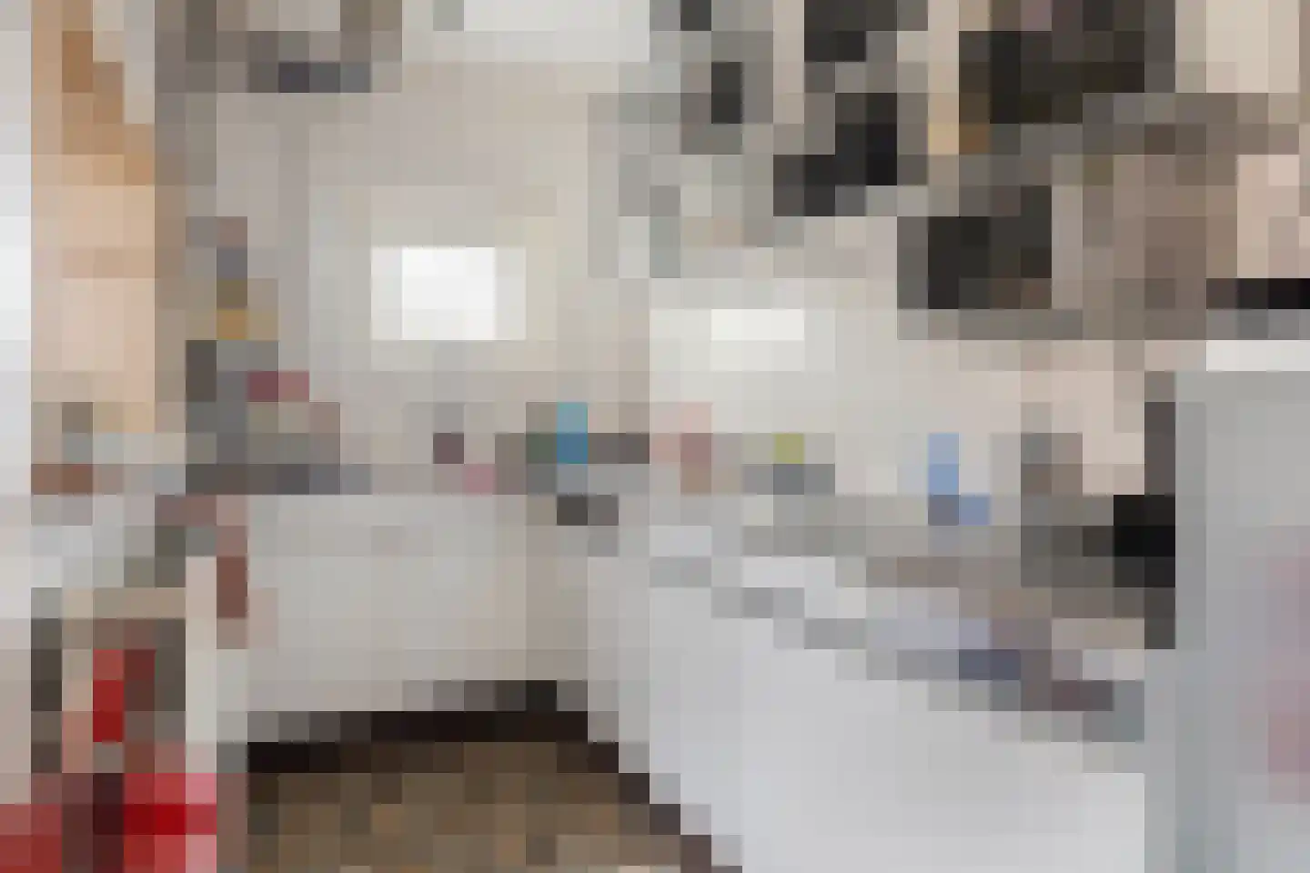 Dorpsstraat 2 Hoofdplaat thumbnail 20