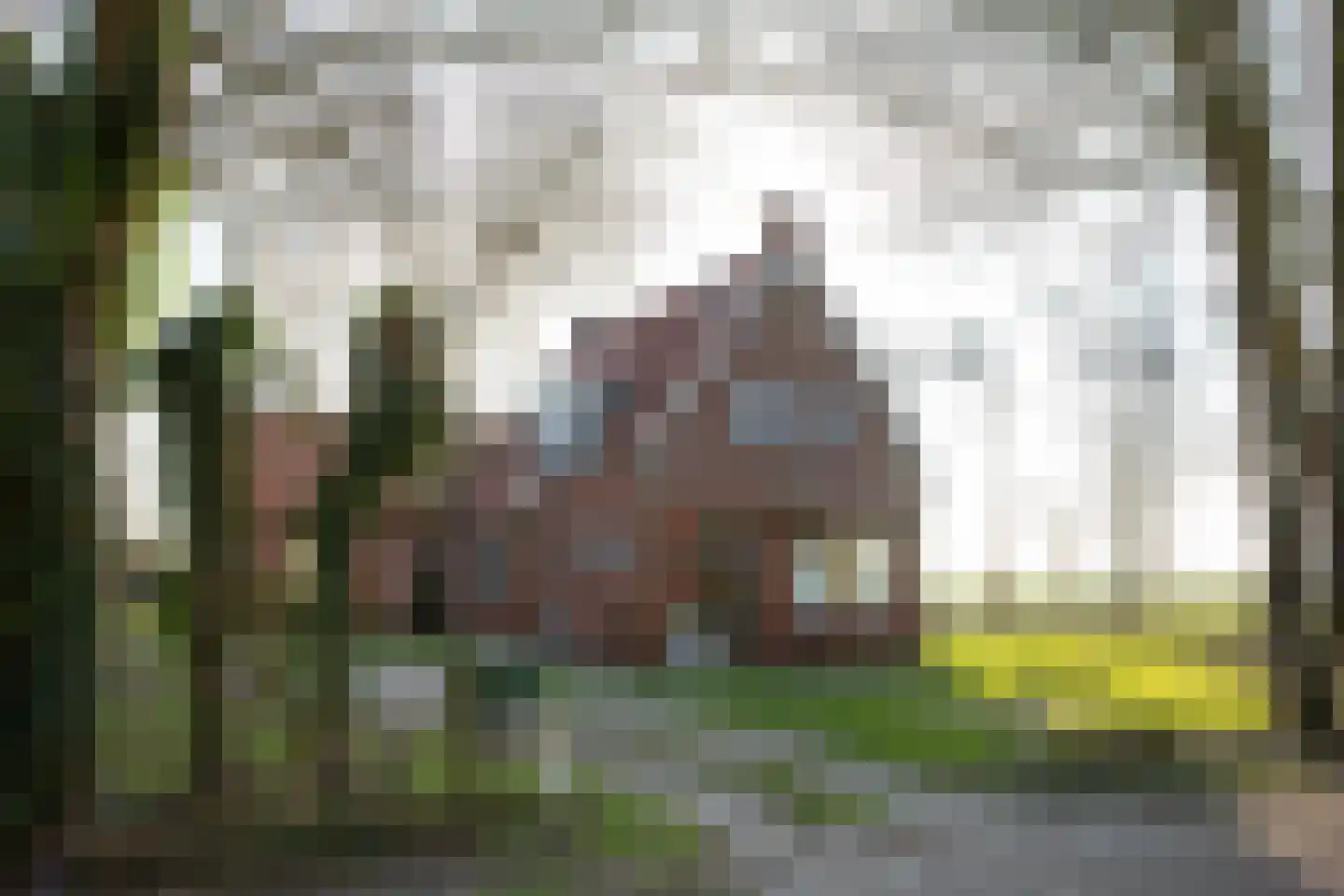 Dorpsstraat 2 Hoorn thumbnail 37