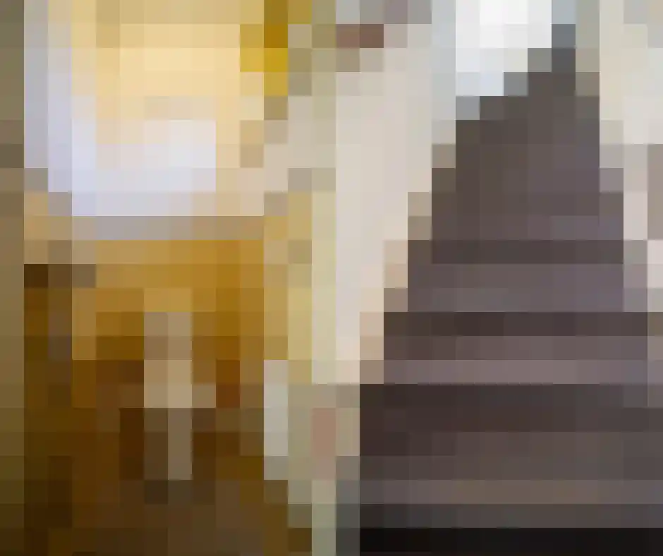 Dorpsstraat 2 Hoorn thumbnail 5