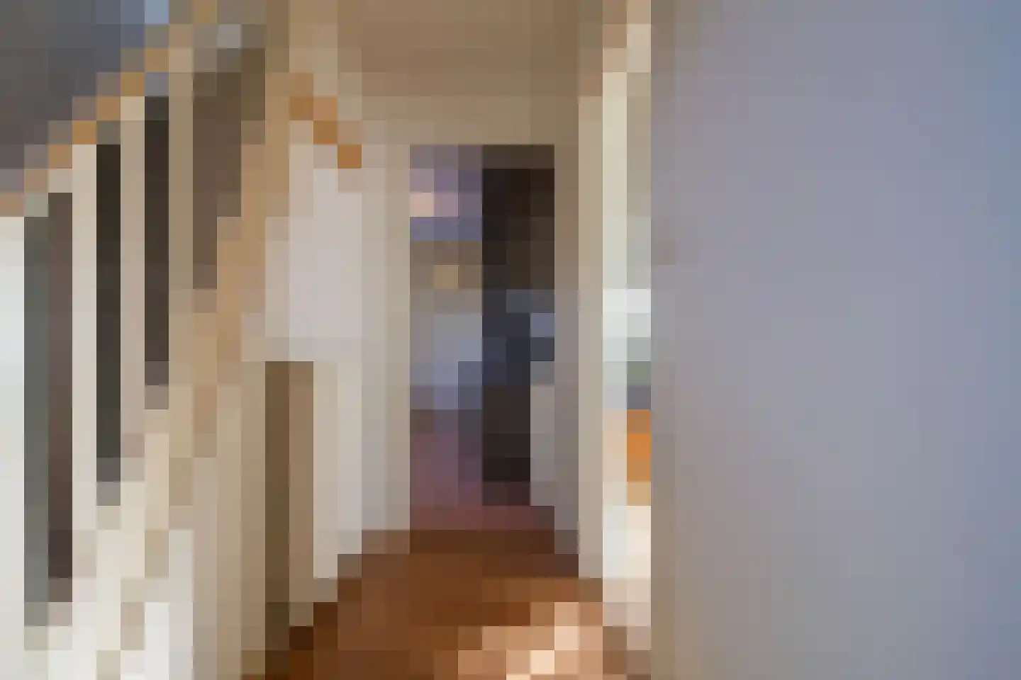 Dorpsstraat 2 Hoorn thumbnail 6