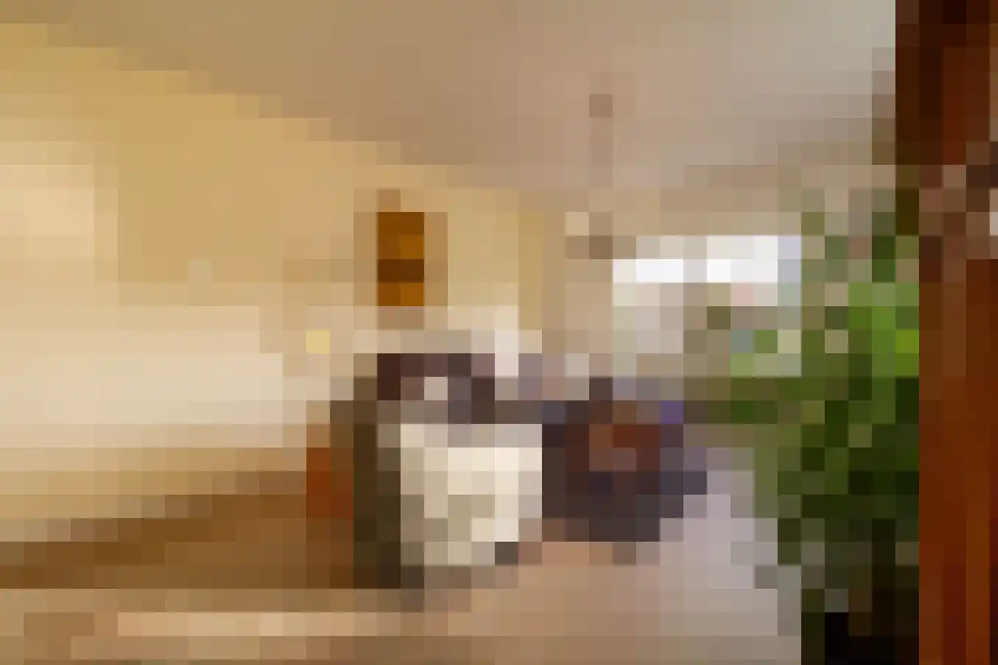 Dorpsstraat 2 Hoorn thumbnail 9