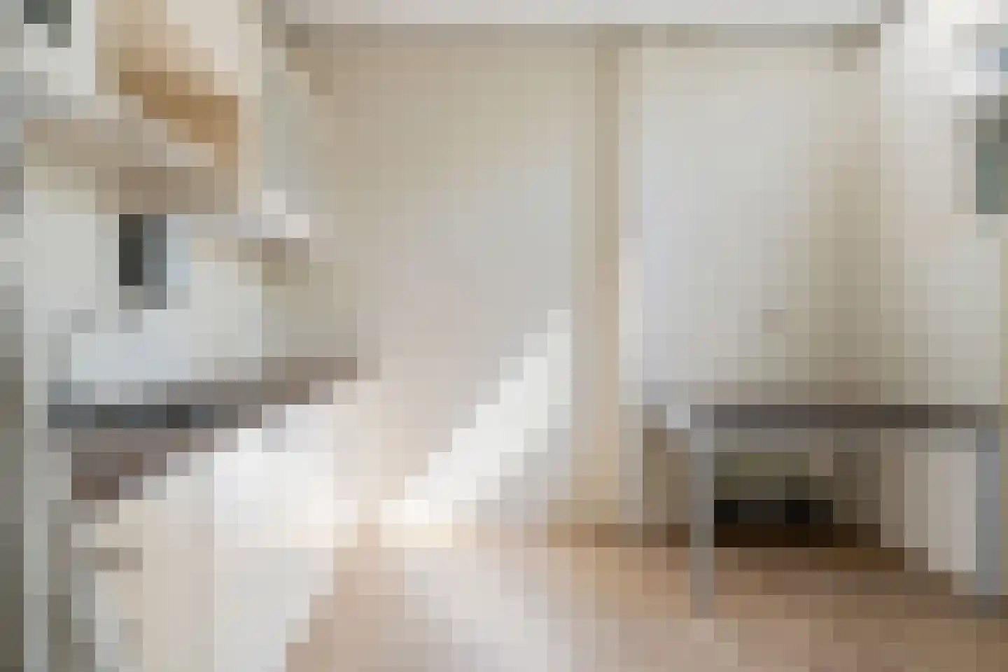 Dorpsstraat 2 Oud Gastel thumbnail 18