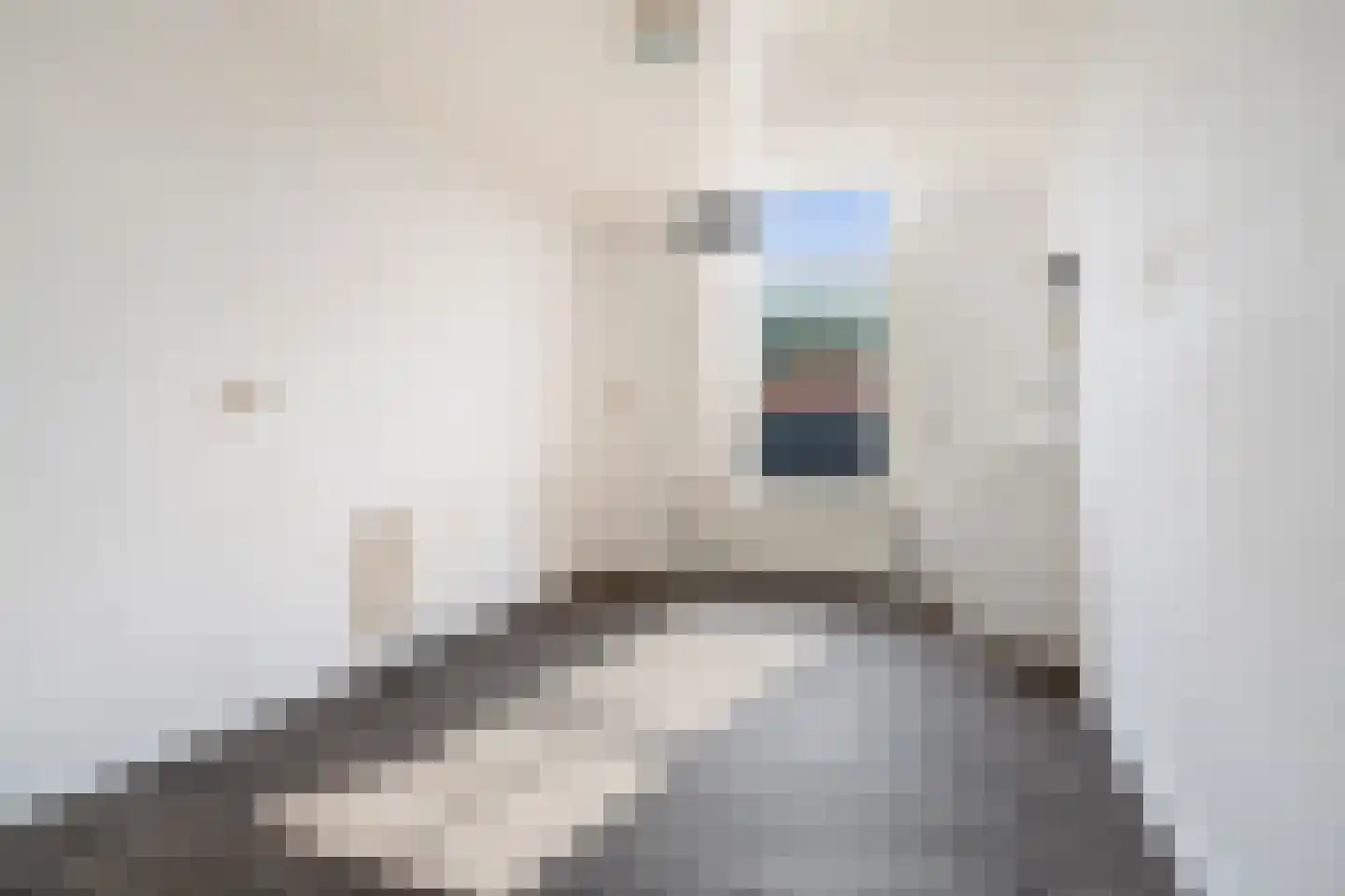 Dorpsstraat 2 Oud Gastel thumbnail 32