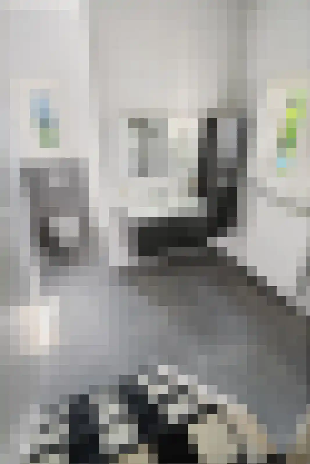 Dorpsstraat 2 Oud Gastel thumbnail 47