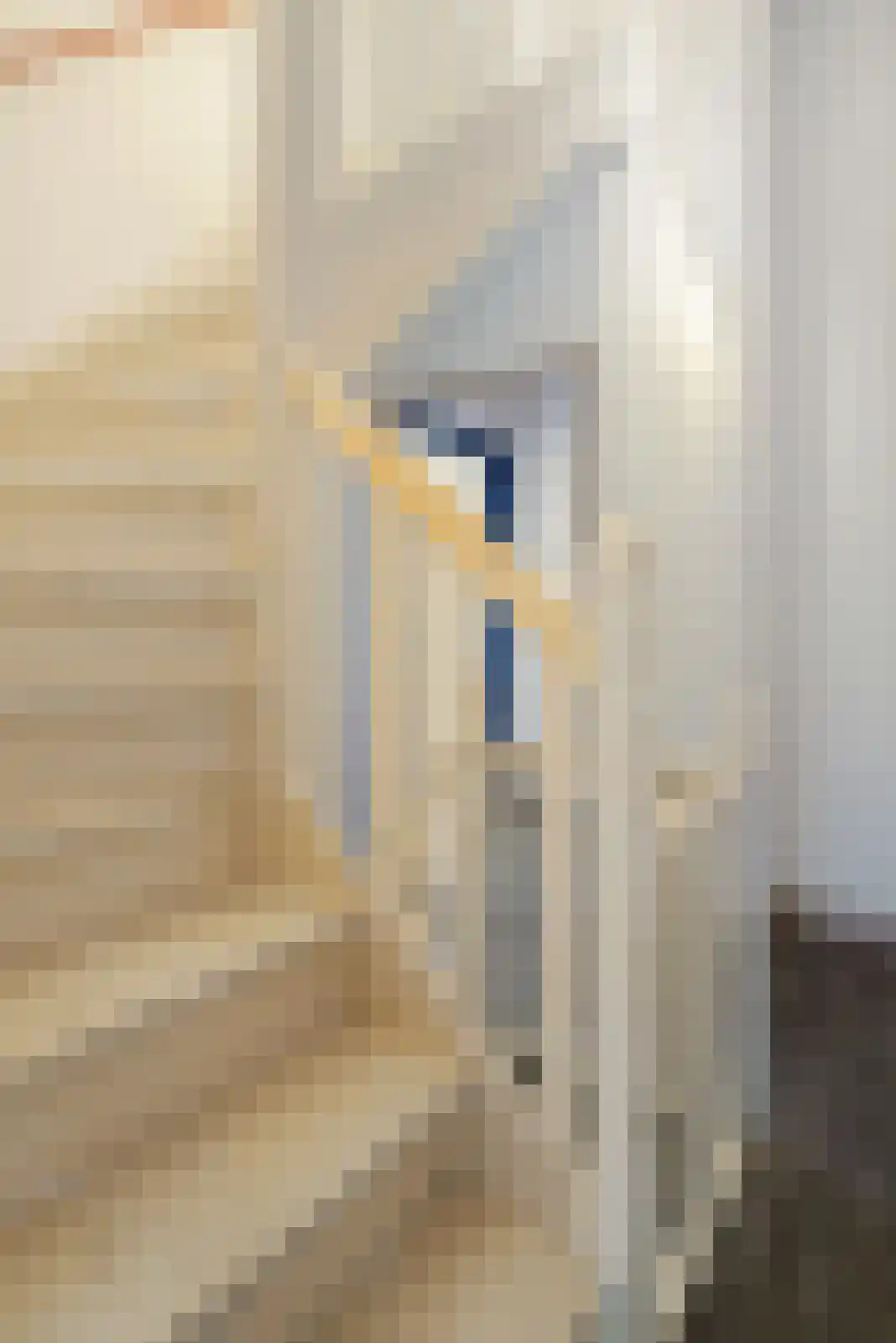 Dorpsstraat 2 Oud Gastel thumbnail 52