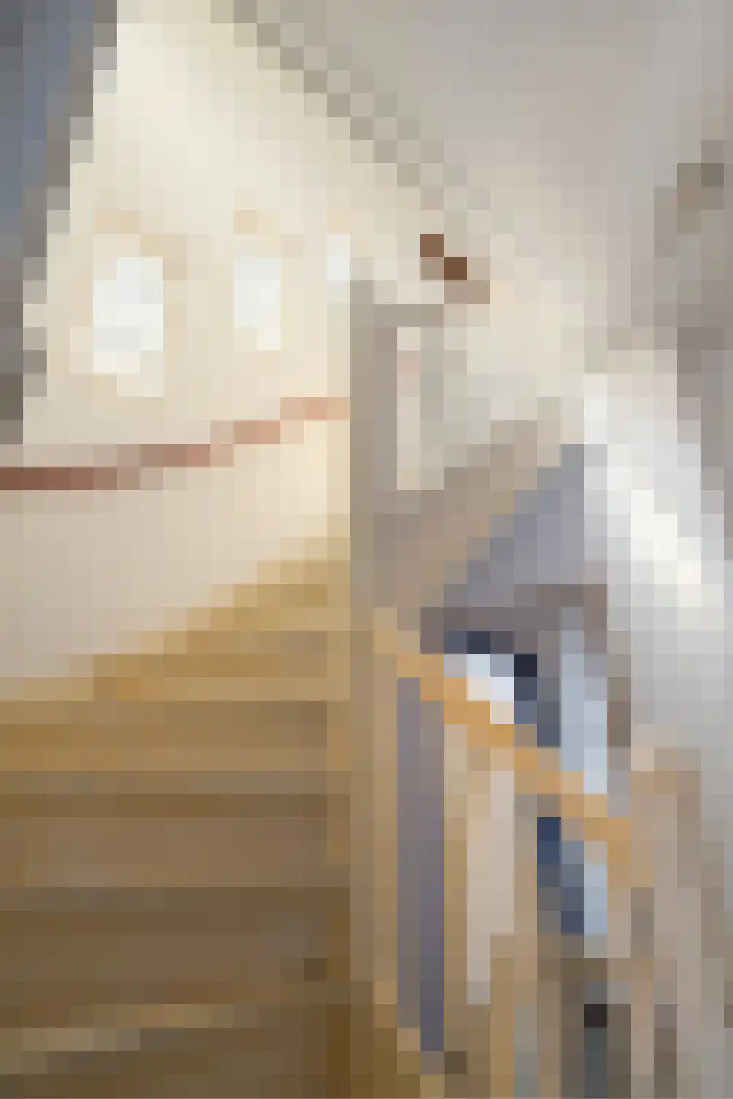 Dorpsstraat 2 Oud Gastel thumbnail 53