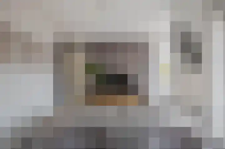 Dorpsstraat 2 Zoetermeer thumbnail 15