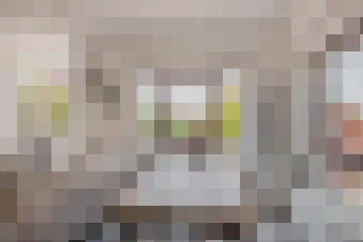 Dorpsstraat 2 Zoetermeer thumbnail 16
