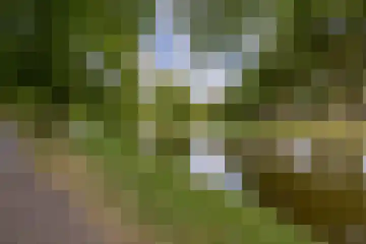Dorpsstraat 2 Zoetermeer thumbnail 34