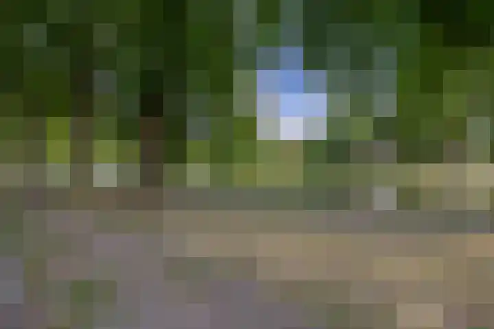 Dorpsstraat 2 Zoetermeer thumbnail 36