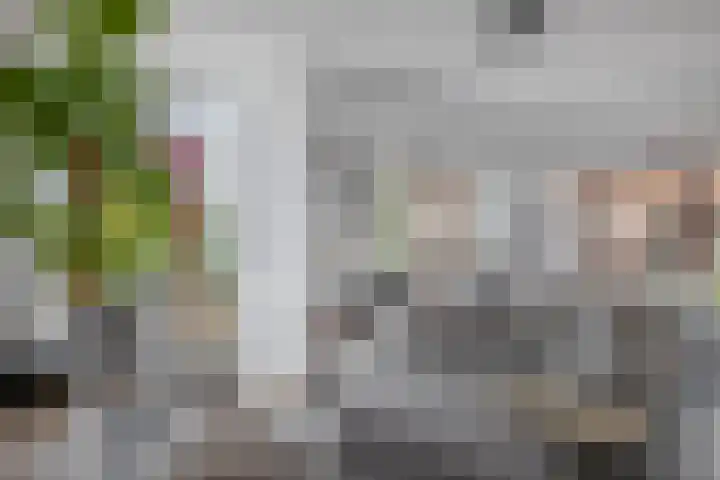 Dorpsstraat 2 Zoetermeer thumbnail 40