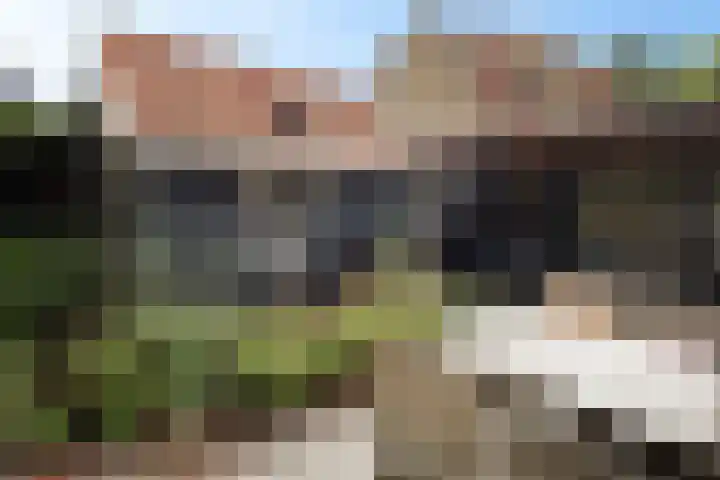 Dorpsstraat 20 A Vlieland thumbnail 15