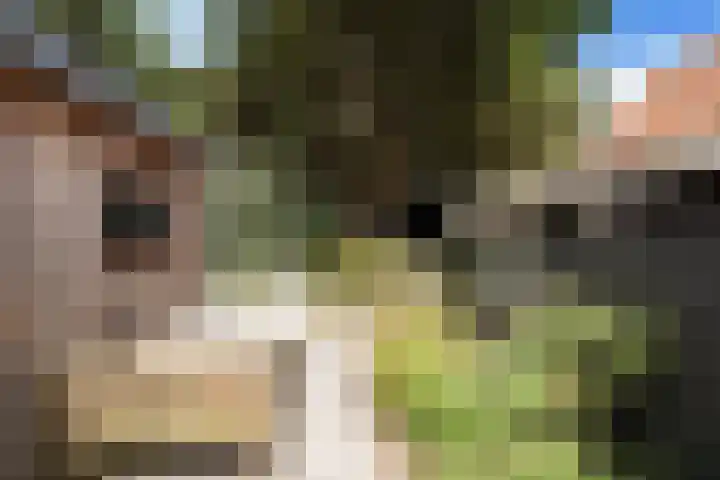 Dorpsstraat 20 A Vlieland thumbnail 5