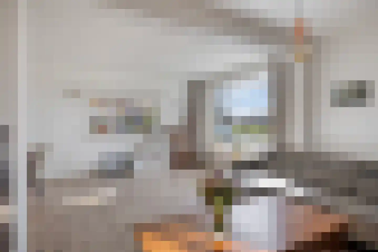 Dorpsstraat 20 c Langenboom thumbnail 16