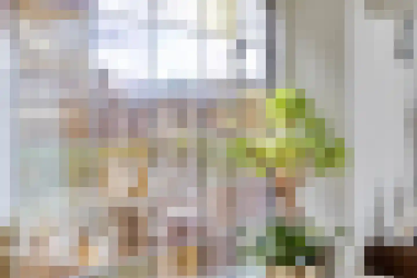 Dorpsstraat 20 c Langenboom thumbnail 19