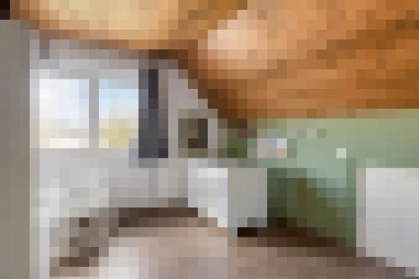 Dorpsstraat 20 c Langenboom thumbnail 36